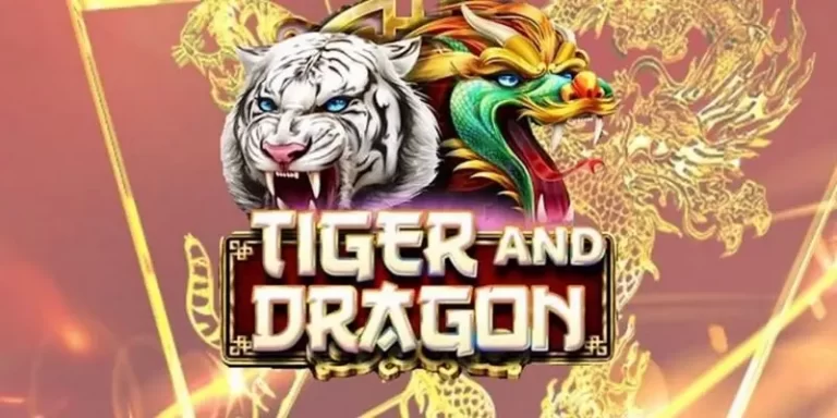 Bet Dragon Tiger 8K8 Now Receive Huge Promotions