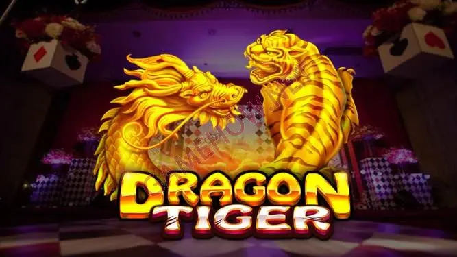 Detailed Information About 8K8 Dragon Tiger Betting Table