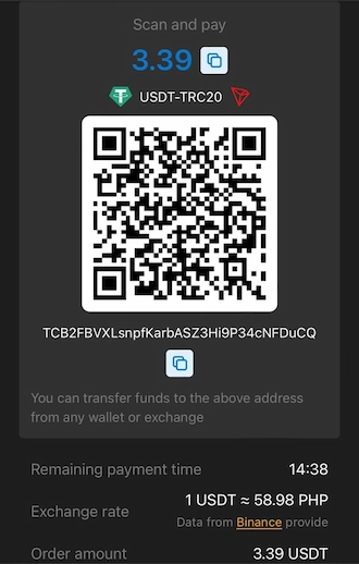 Step 4: open your cryptocurrency wallet and make the payment via the QR code or wallet address we have provided.