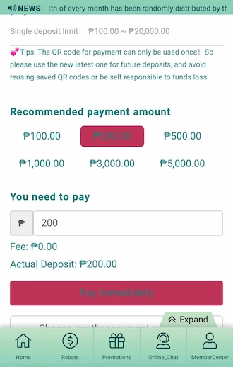 Step 3: Please fill in the amount you want to pay, then select "Pay Immediately" to move to the next payment step.