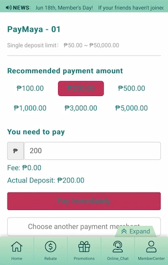 Step 2: Please select an amount you would like to pay. Then click "Pay Immediately" to proceed to the next payment step.