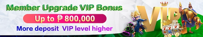 Member upgrade VIP Bonus