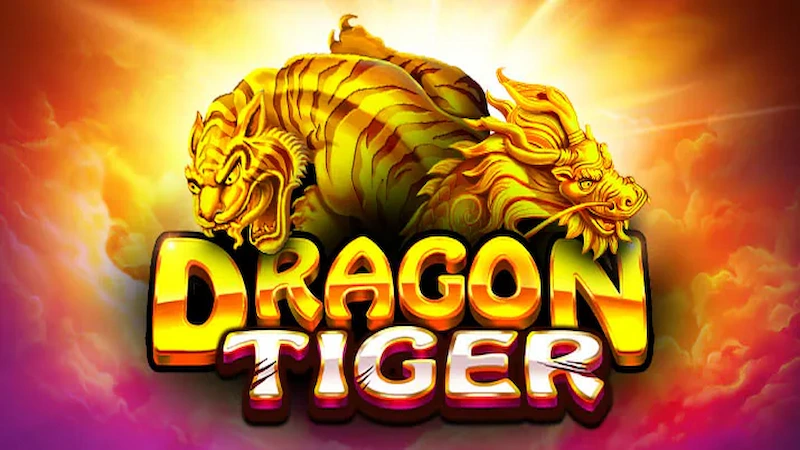 DRAGON TIGER AND BASIC TERMS IN THE GAME